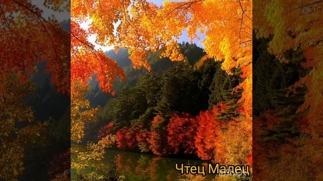 Осень кудесница. Автор Лина Владиш. Читает Чтец Малец. Леонид Бархатов.