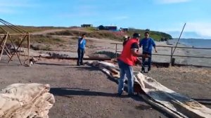 Яранга.Жизнь Яранги.Вот так  быстро можно ярангу разобрать