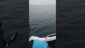 12.06.2022г. катер бриз 17, закрытие сезона тролинга на симу!!! удачно!!!