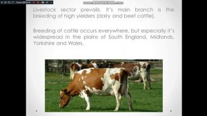 Урок 37.  Сельское хозяйство в Великобритании