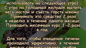 ОЧИЩЕНИЕ ПЕЧЕНИ С ПОМОЩЬЮ ИЗЮМА