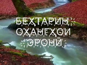 Шохе гуле ман наюмад شاخه گل من نیومد
