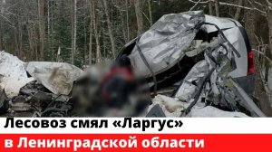 Лесовоз смял «Ларгус» в Ленинградской области