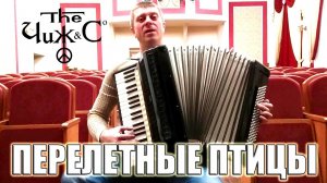 Чиж и К - Перелетные птицы на аккордеоне (аккордеонист Савченко Дмитрий)