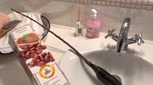 Где купить? КАШТАН СЪЕДОБНЫЙ. ЭКЗОТИКА в МОЁМ САДУ.  #любимыйсадутатьяны #каштан