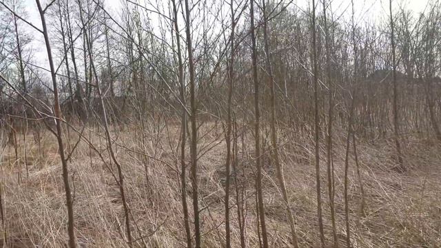 КУПИЛА ДОМ В ДЕРЕВНЕ/ Пришла весна. Строю планы. Разобрала старый забор #домвдеревне #хочувдеревню