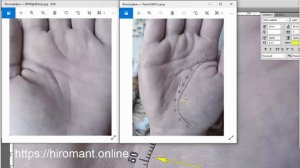 Линия Жизни краткий обзор по фотографиям рук