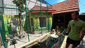 УРА! 1000 подписчиков на канале ZOO Алексея 👍