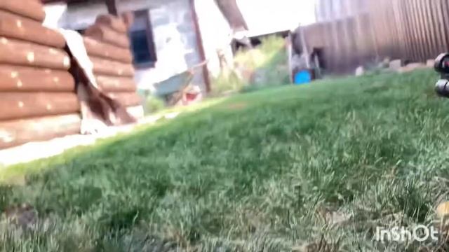 Как пристрелять пневматическую винтовку (ВОЗДУШКУ) смотреть онлайн