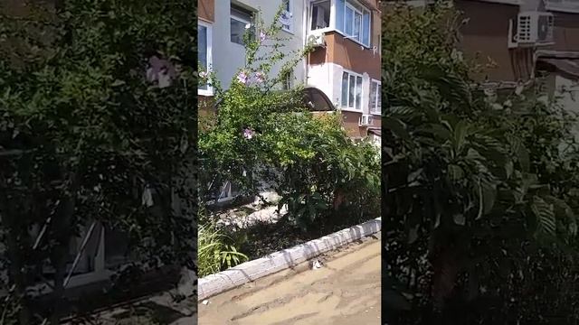 Никому нет до этого дела а бабки всегда есть кому доить смотреть онлайн