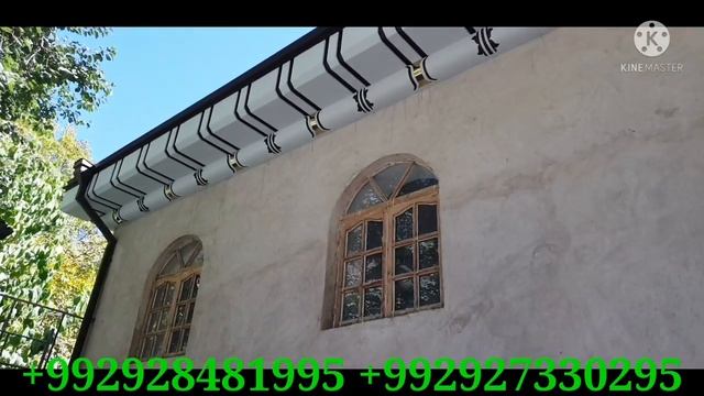 TUNUKAFON POTOLOK ТУНУКАФОН ПОТОЛОК смотреть онлайн