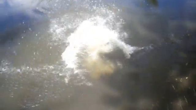 прыжки в воду смотреть онлайн