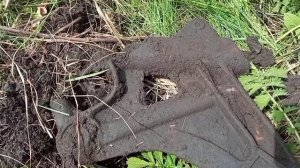 #16 Одной находкой сделали день