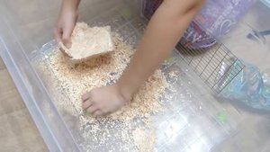Печенька переезжает !! Служба доставки : Еж и Хомяк ! Новый дом для хомяка )))