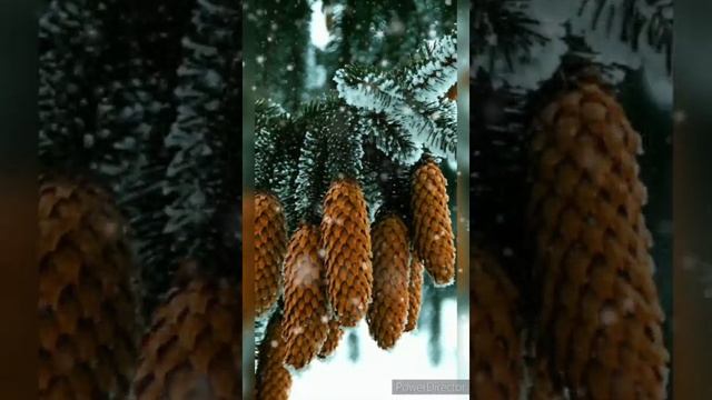 Хорошего зимнего дня! Красивая музыка и стихи!