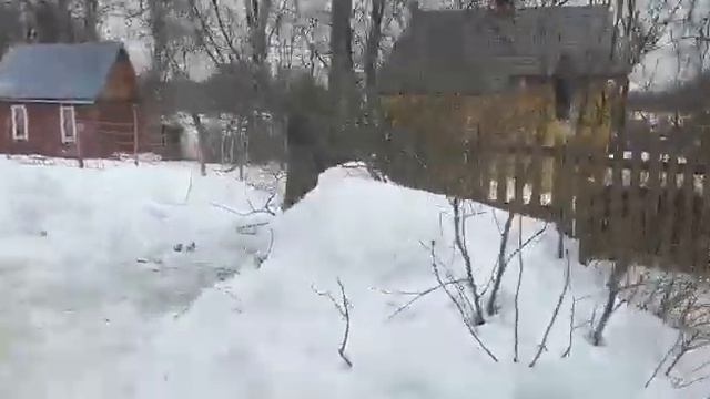 Сруб бани 8х5 с террасой 1,5х2 метра с двумя перегородками в Сергиев Посаде, часть 2 смотреть онлайн