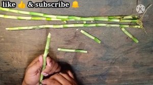 6 Super Easy Lucky Bamboo Designs You Need to Try Now!