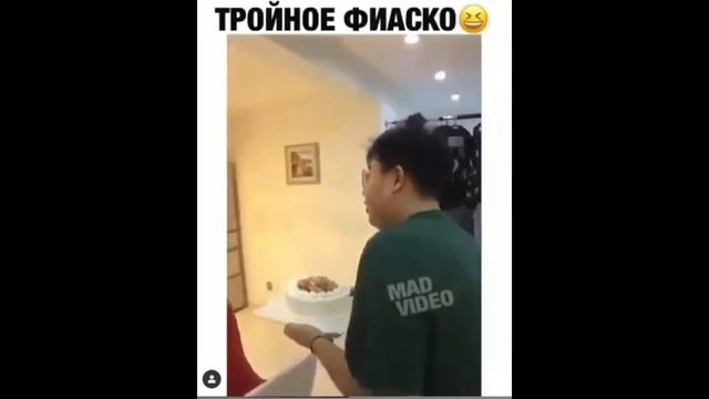 Приколы и юмор с животными и людьми 2019 года смотреть онлайн