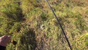 Рыбалка на Ротана . Осень .