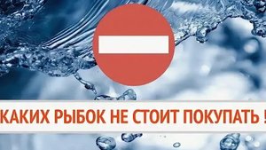 Каких АКВАРИУМНЫХ РЫБОК не стоит покупать