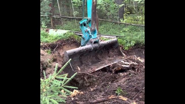 Из леса в ровный дачный участок #дача #лес #садоводство #газон #благоустройство #строительство