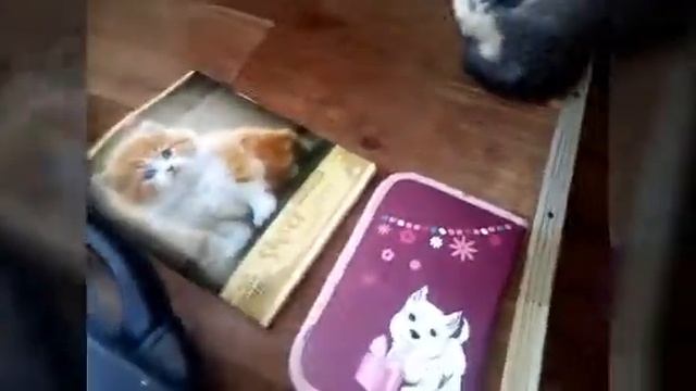 Что я возьму с собой на рыбалку с ночёвкой. смотреть онлайн