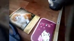 Что я возьму с собой на рыбалку с ночёвкой.