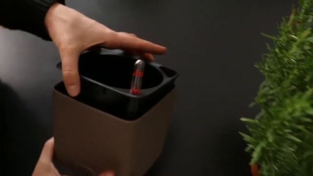 Кашпо Lechuza® Cube Color с системой автополива смотреть онлайн