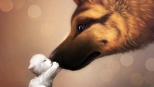 Новая песня Анжелика Варум. Реальный хит! Вы должны... смотреть онлайн