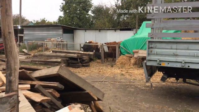 Купил телёнка смотреть онлайн