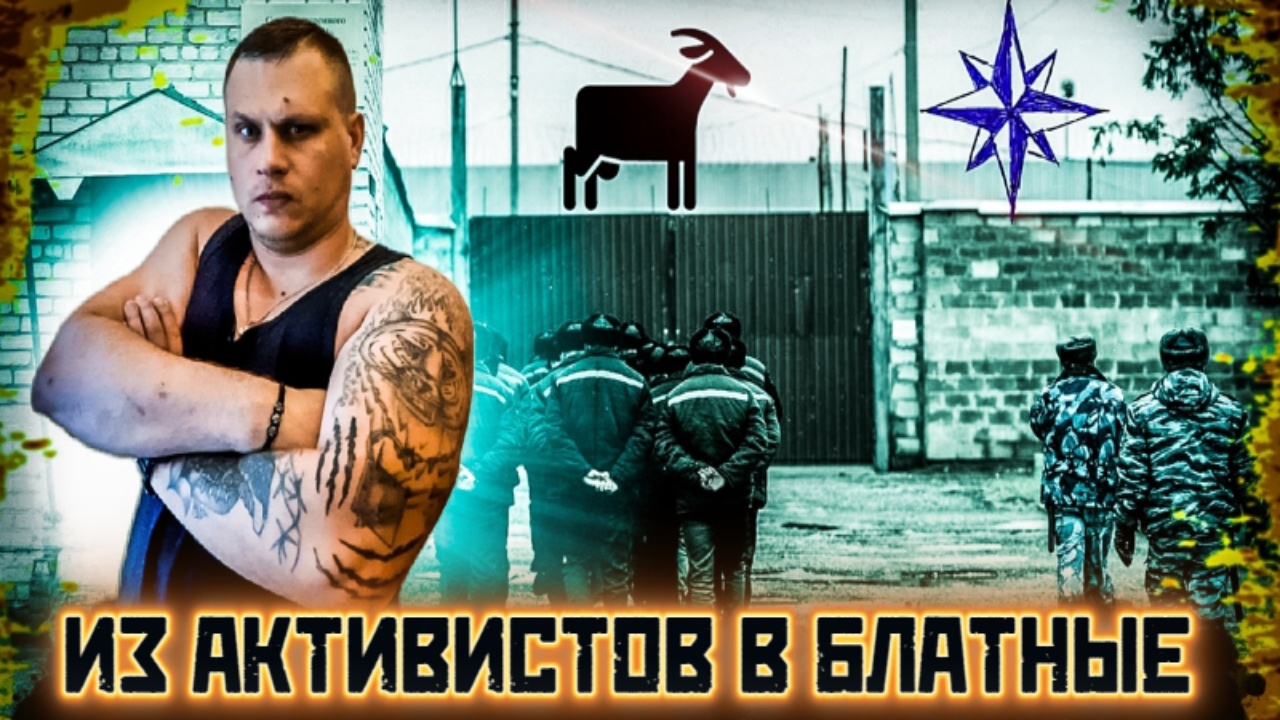 ИЗ АКТИВИСТОВ В БЛАТНЫЕ
