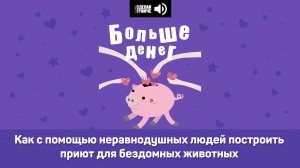 Как с помощью неравнодушных людей построить приют для бездомных животных #большеденег