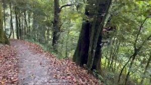 Индия. Королевство Сикким. 1.06.22