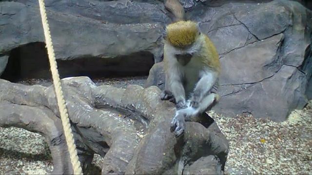 океанариум 12 смотреть онлайн