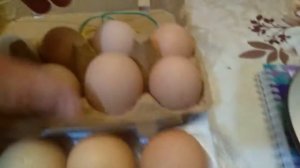 Яйцо от кур породы Кучинская Юбилейная Вес и размер яйца