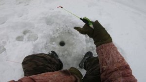 рыбалка 2021-22 на безмотылку ловля горбача, по наледи на мотобуксировщике !