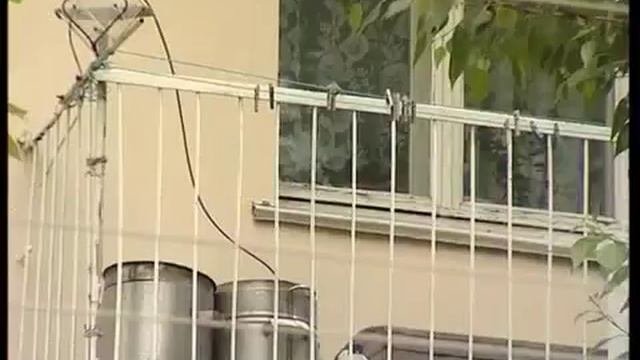 Трагедия на улице Мира