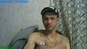 мопс залипает