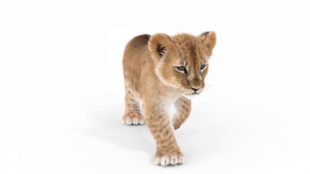 Animated Lion Cub 3D Model: Download - 3DsMax