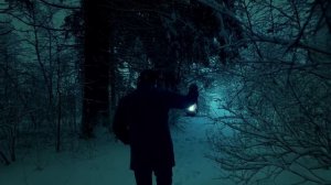 Владимир Пресняков. Белый снег (Cover. Performed by Hrust).