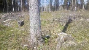 ОНЧ СДВ приемник на МП40 транзисторов.