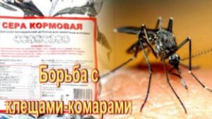 Клещи и комары. Боремся, как можем