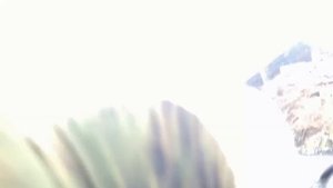 Морская рыбалка Магадан