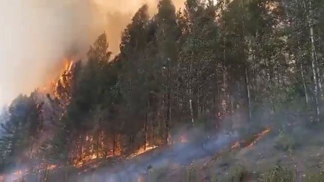 В Свердловской области горят леса смотреть онлайн