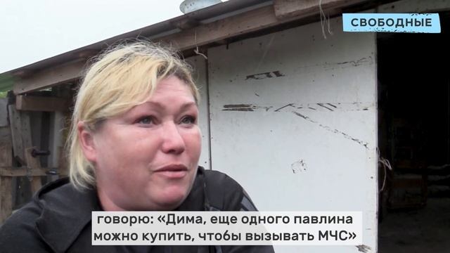 Жительница поселка Соколовый держит на участке страуса, павлинов и нутрию смотреть онлайн