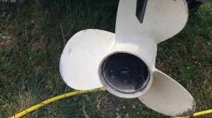 Tohatsu M40C после замены крыльчатки, стакана и пластины помпы.