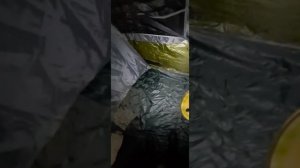 Палатка 8 местная CoolWalk 059