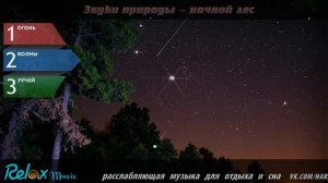 Ночь в лесу, шум леса, ночной лес, лес звезды, звуки леса, музыка леса,  night forest