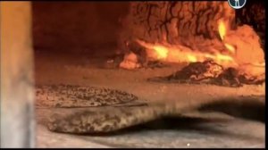 Наука 2.0 Умный хлеб