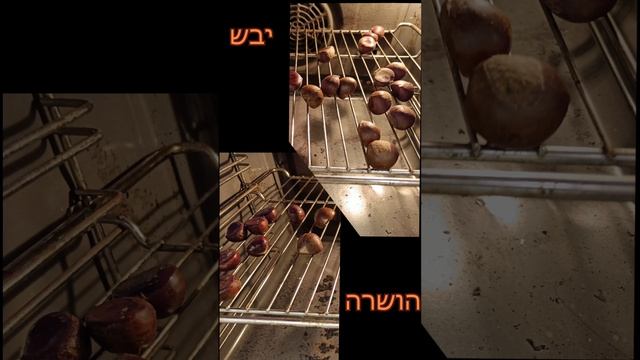 ערמונים בתנור chestnuts in the oven